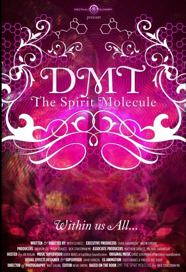 DMT: The Spirit Molecule