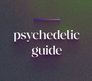 Psychedelic guide