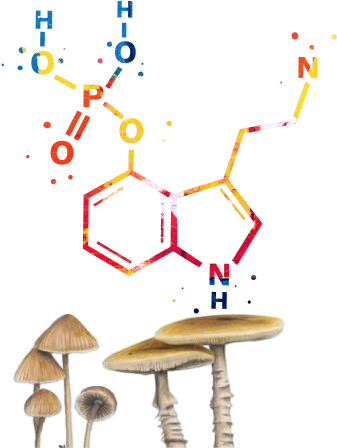 Psilocybin compound