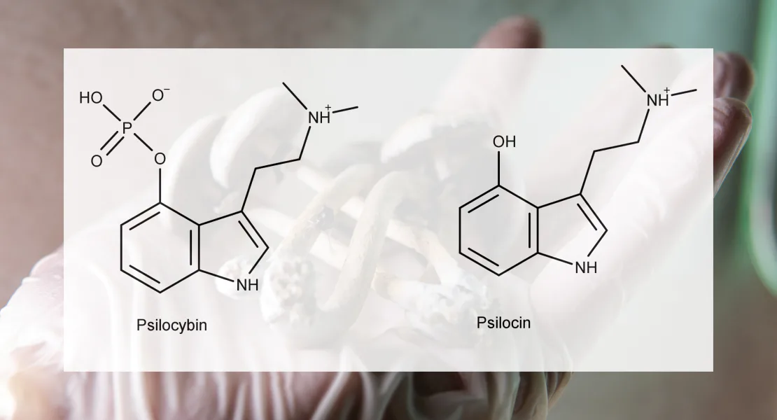 psilocybin 1