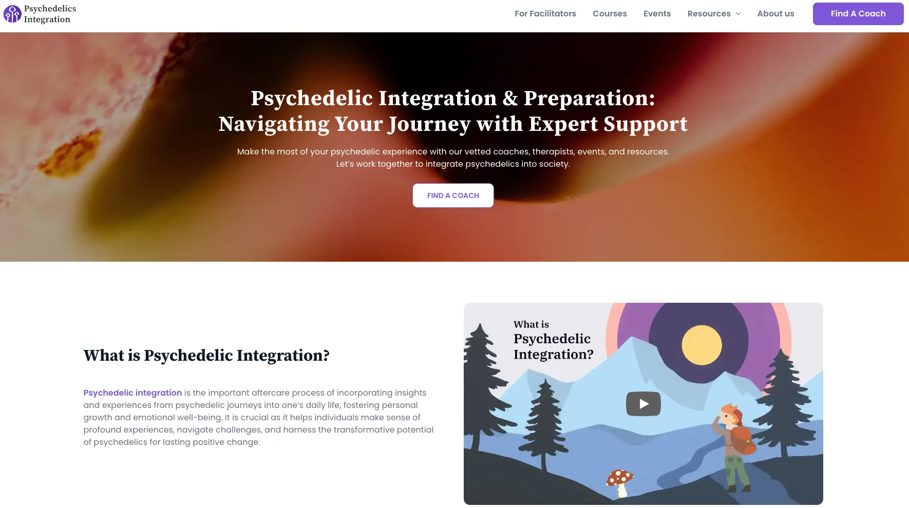 Psychedelics Integration Website