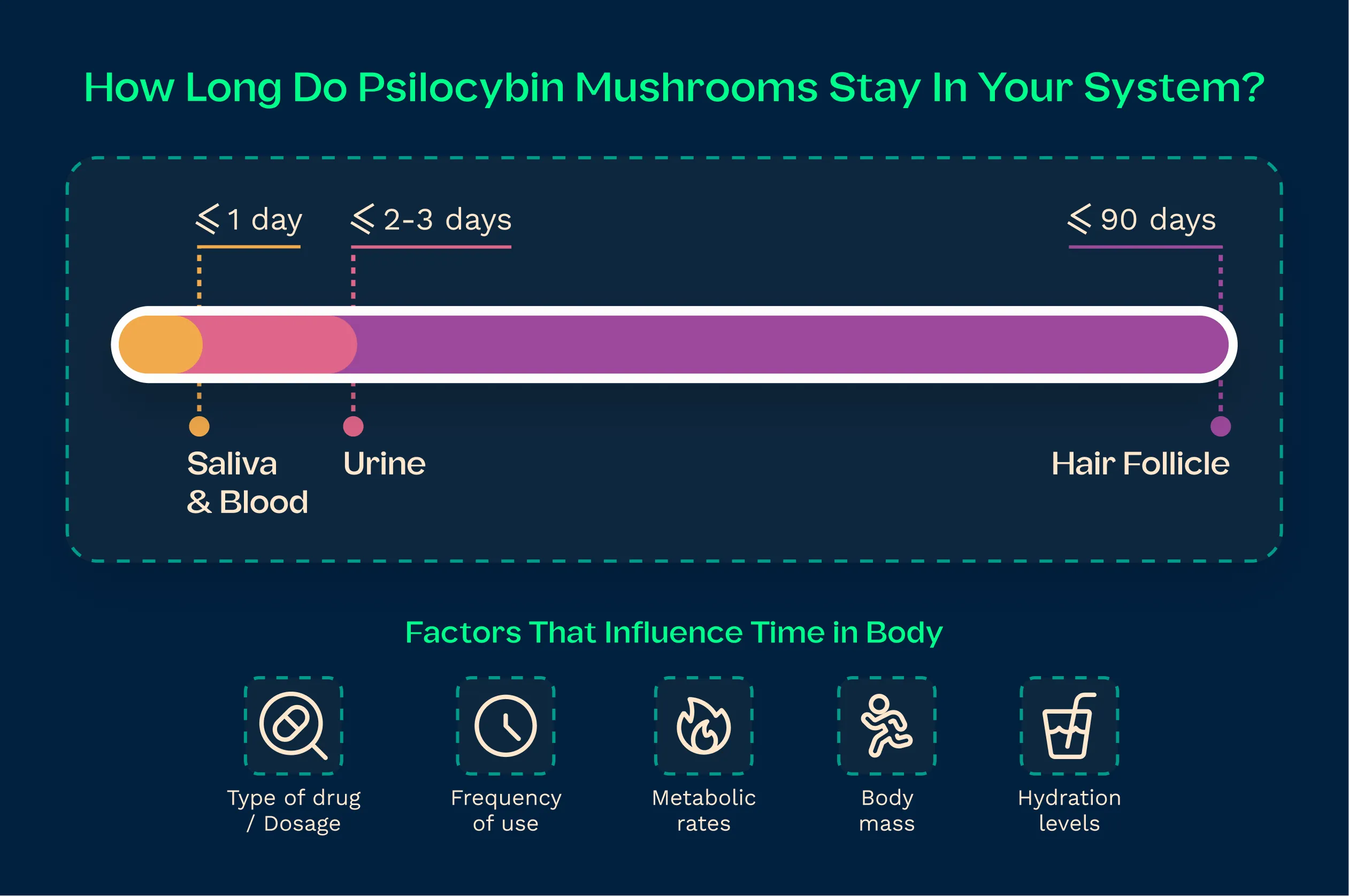 How long do Psilocybin Mushroom stay in your system?
