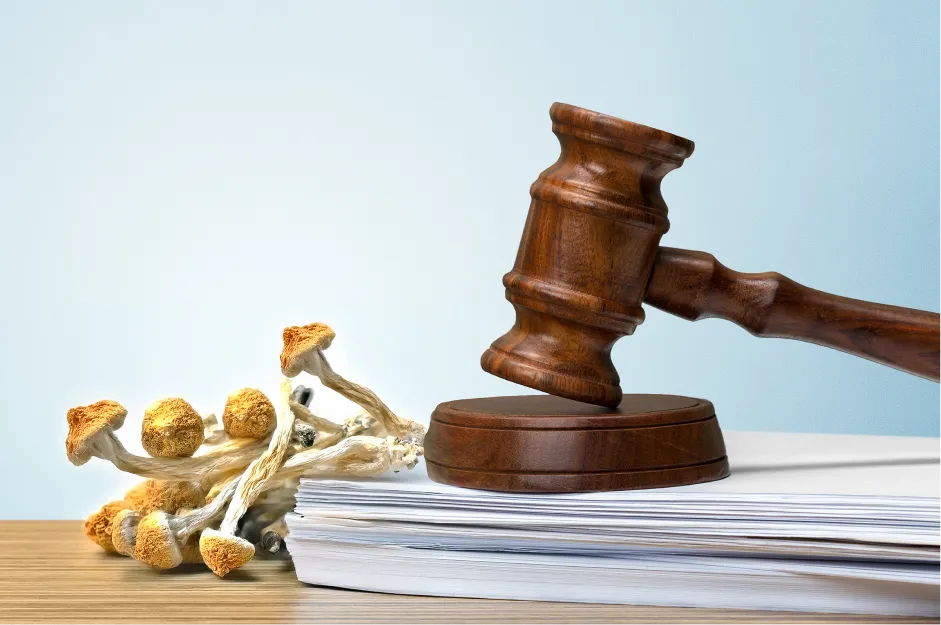 Legal and Safety Considerations