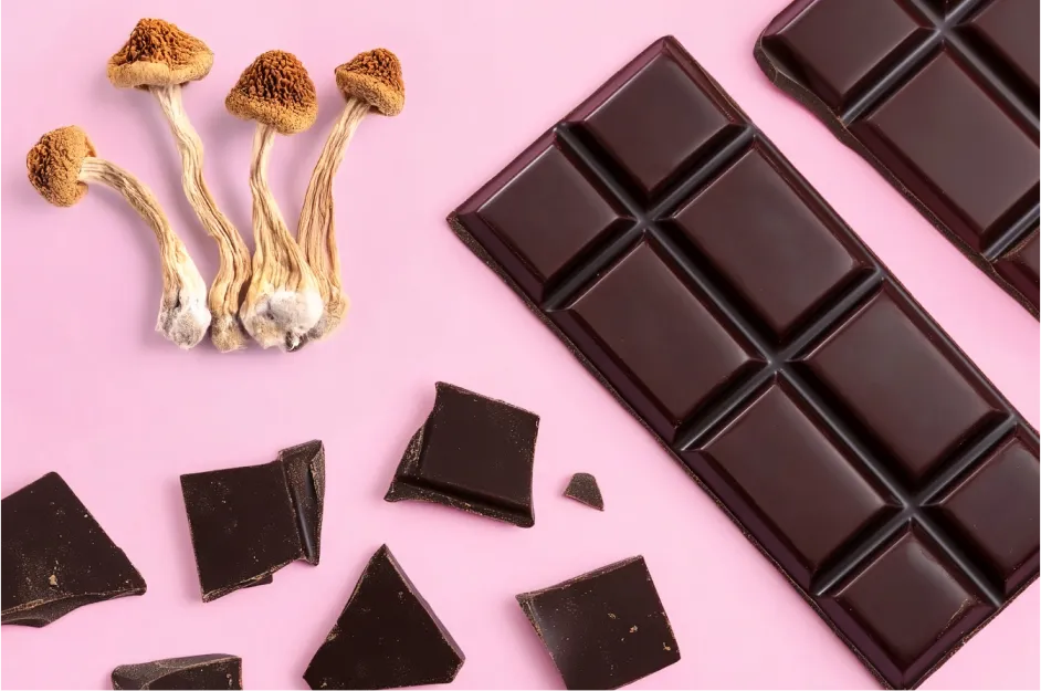Making Magic Mushroom Chocolates for Microdosing