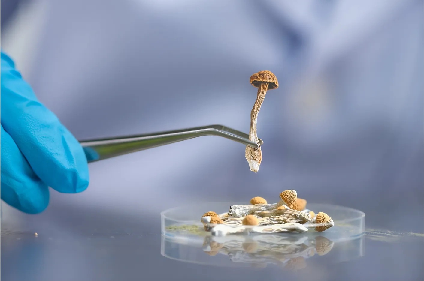 Making Microdoses at Home: Why It's Beneficial