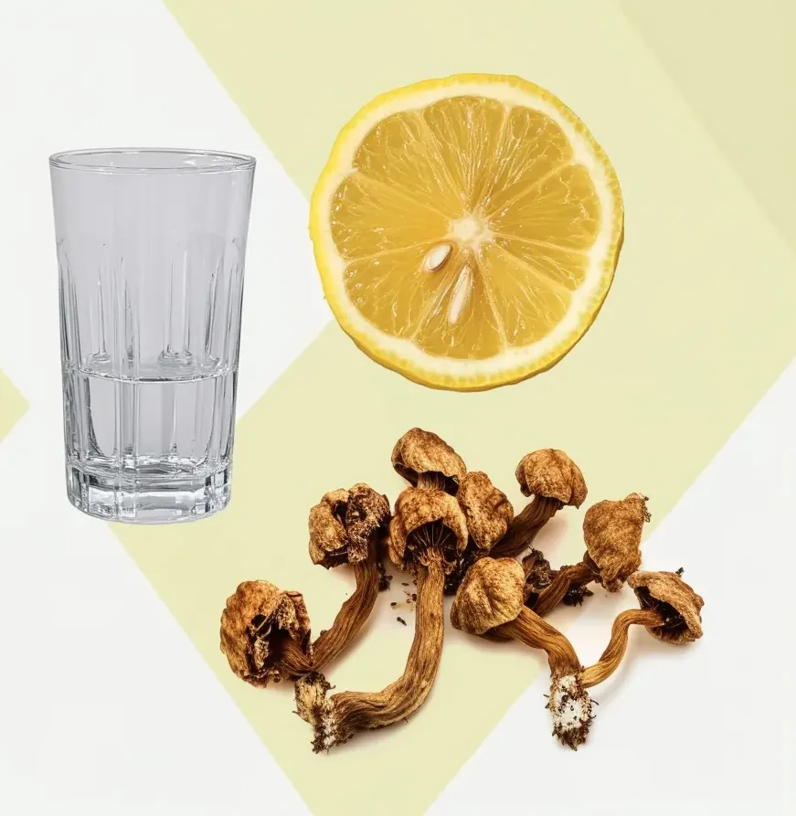 Step-by-Step Guide to Lemon Tekking